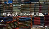 粤港澳大湾区羽毛球青少年公益训练营结营