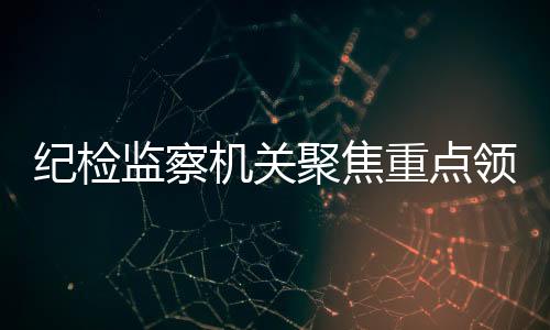 “坚决不移深化反腐败斗争