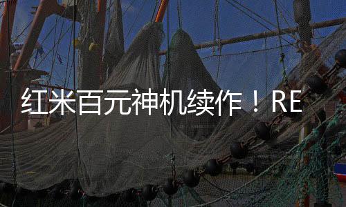 神机依旧配备双摄像头