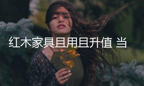 特别是家具在明清两代
