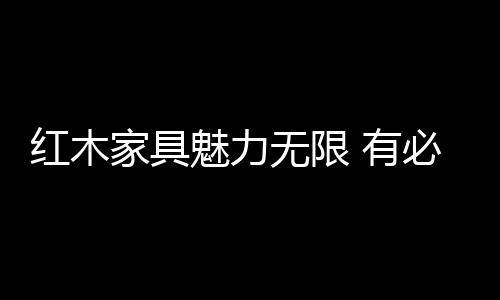 有计划地实施营销策略
