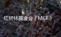 红树林基金会（MCF）温家怡
：善因营销可有效促进公益品牌建设