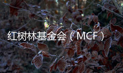 对于品牌传播效果评估要多维