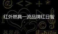 红外燃具一流品牌红日智能厨卫，全国盛大招商