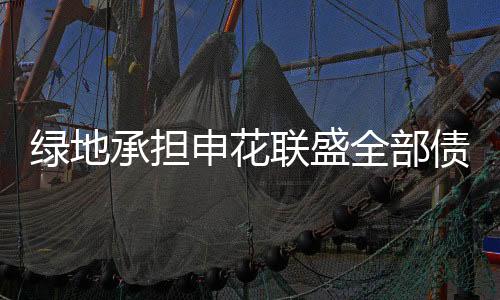 债务转让在公示期内