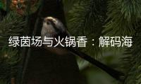 绿茵场与火锅香�：解码海底捞人的“双面人生”