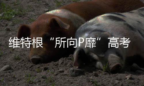 根高助力高考学子勇闯下一程