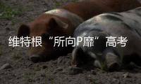 维特根“所向P靡”高考助力赛