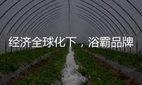 经济全球化下
，浴霸品牌如何顺应市场发展?
