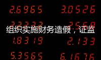 组织实施财务造假，证监会拟对许家印采取终身证券市场禁入措施