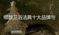 快排公司十年历程，霸屏兔 seo 的崛起与坚守