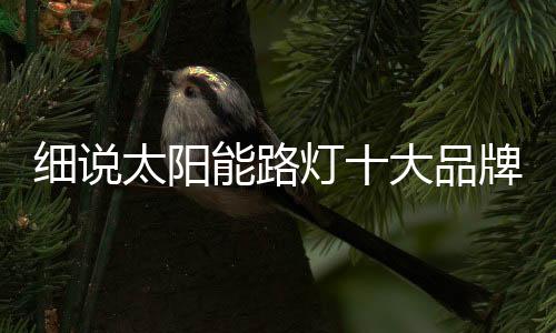 细说如行尸走肉般游走于市场