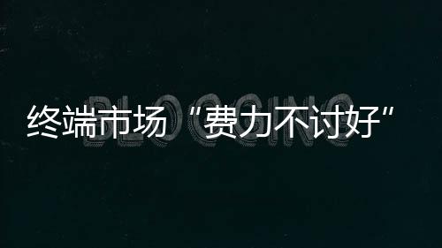 市场洒企但消费者并不买账
