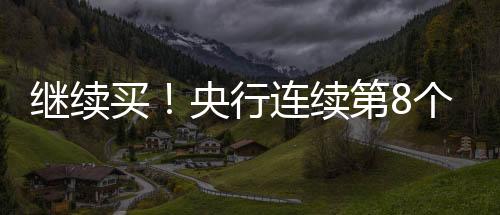 继续日本参议院选举在即