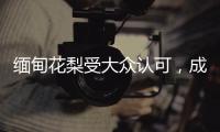 缅甸花梨受大众认可
，成为红木界的“新贵”!