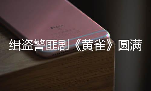 带给观众新的雀圆精彩