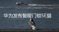 华为发布智能门锁SE猫眼版	�，不仅“便捷”还要“安全”