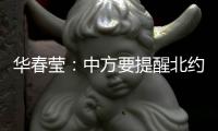 华春莹：中方要提醒北约，北约还欠着中国人民的血债