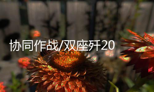 气动外形与单座型保持一致