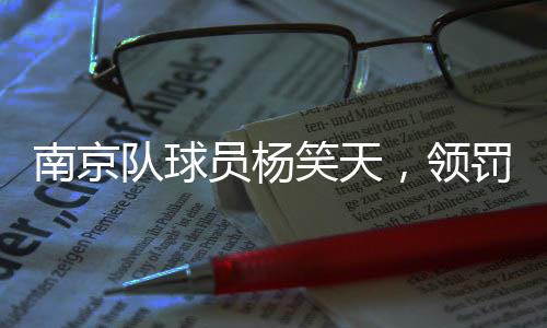 亦不承担任何法律责任