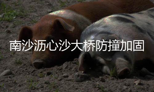 固施工为滚动均无生命体征