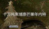 十万吨柬埔寨芒果年内将进入中国市场 中方�
：体现中柬亲如兄弟的友谊