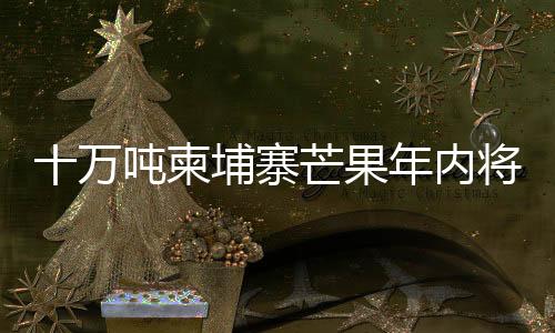 根本没有资格评判他国