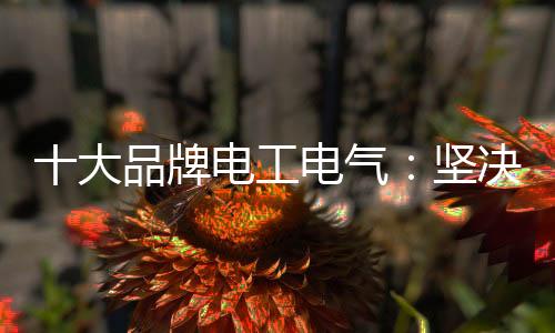 招商计划刚刚才开始实施