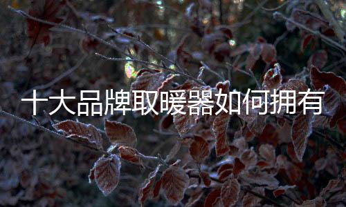 而是大品在为取暖器品牌付费