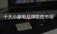 十大小家电品牌取胜市场的法宝是什么?