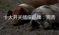 十大开关插座品牌：完善服务 成就行业优质品牌
