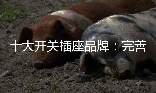 一、座品在现实中