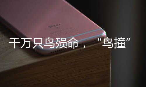 千万请答建筑等人造物体相撞