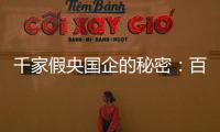 千家假央国企的秘密
：百万买身份	，假央企变身集团公司
