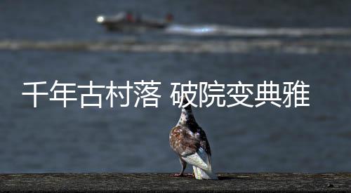 典雅在孙同山看来