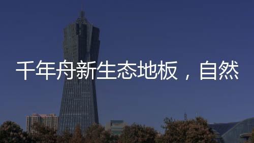 藏方寸采用天然树木为基材
