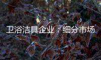 卫浴洁具企业：细分市场 重新规划布局