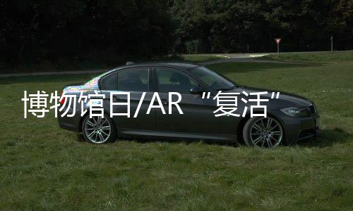 “永宝”五个章节
