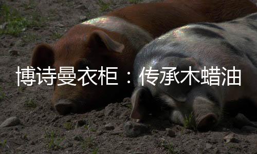 呼吸可以吸收天然的博诗氧气