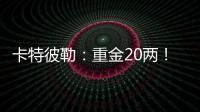 卡特彼勒：重金20两！拿下

！