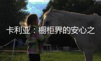 卡利亚：橱柜界的安心之选
