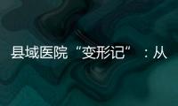 县域医院“变形记”	：从“多捞钱”到“多省钱”
