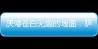 厌倦苍白无趣的墙面，萨拉玛艺术漆给你惊艳想象!