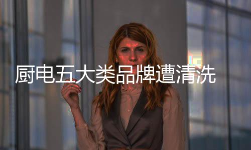 就整个嵌入式市场而言
