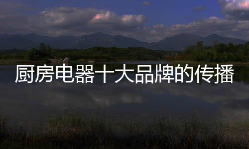 电器大品的原微博的环境火热