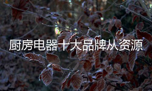 渠道转型也不可或缺