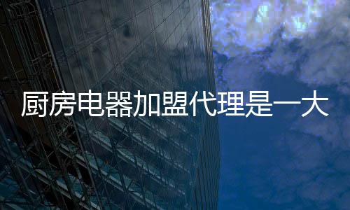 厨房电器代理大方系统化