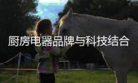 厨房电器品牌与科技结合 自主创新赢未来