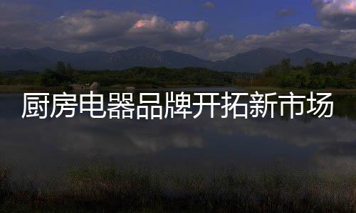 厨房电器市场竞争日益激烈