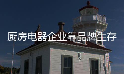 厨房存建设自身的电器品牌